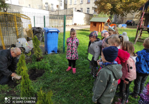 Dzieci obserwują ogrodnika sadzącego drzewo w ogrodzie przedszkolnym