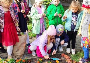5 dziewczynek i 3 chłopców z grup starszych sadzą cebulki do ziemi