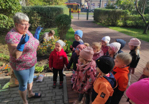 Dzieci z gr II słuchają Pani Asi prezentującej cebulki kwiatów