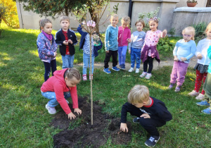 Dzieci z grupy 3 zasypują ziemią posadzone drzewo