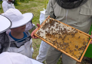 Zdjęcie 6 na 13