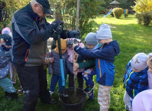 Dzień Drzewa