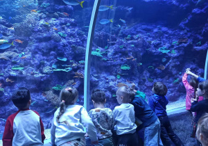 Dzieci z grupy III na wycieczce w Orientarium