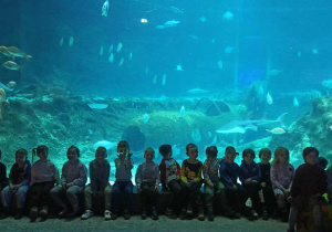 Dzieci z grupy III na wycieczce w Orientarium