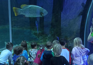 Dzieci z grupy III na wycieczce w Orientarium