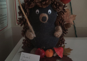 Praca konkursowa "Jeż - dziki zwierz"