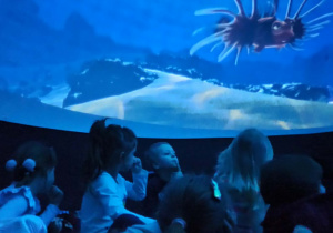 Przedszkolaki w mobilnym oceanarium