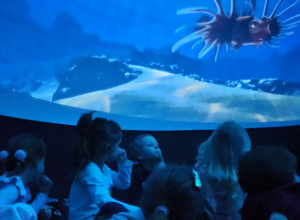 Mobilne Oceanarium