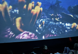 Przedszkolaki w mobilnym oceanarium