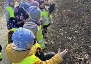 Dzieci z grupy 2 na spacerze w parku